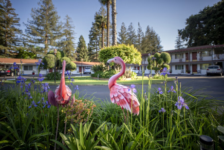 The Palo Alto Inn - Exterior